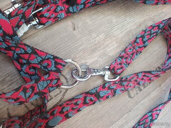 Potřeby pro psy - obojky, kšíry, vodítka, atd. - 3