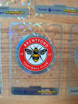 Fotbalové kartičky Premier league 2025 Crystal Crest - 3