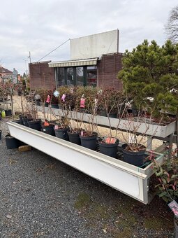 Pěstební zahradní stoly - 3