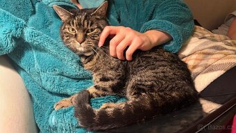 Simonek naléhavě potřebuje domov - 3