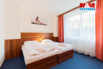 Prodej bytu 1+1, 42 m², Frymburk - 3