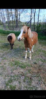 Úžasní poníčci - 3