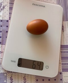 Domácí vejce , přebytky - 3