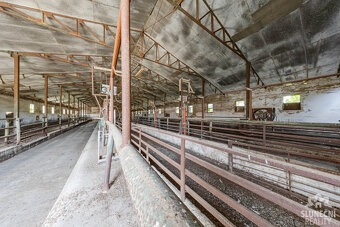 Pronájem chléva 2646 m², Moravský Písek - 3