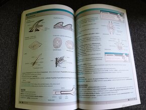 NOVÁ Biologie v kostce - 3