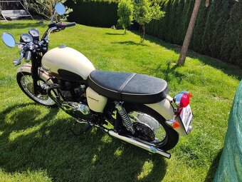 Triumph Bonneville T 100 (2011) TOP stav,  VÝPRODEJ - 3