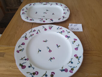 staré porcelánové talíře zn. Haas & Czjzek - 3