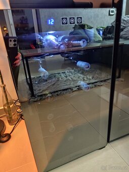 Vinotéka Hyundai - 3