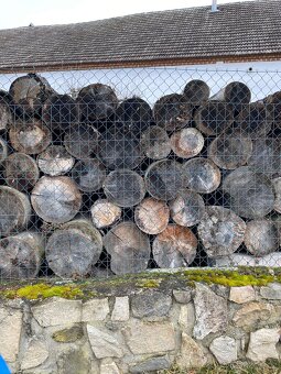 Palivové dřevo - 3