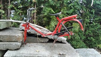 Babeta dvourychlostni - 3