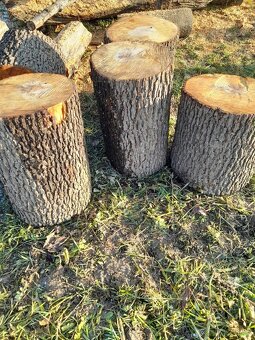 Dřevo ,špalky, kulatina,jasan, olše - 3