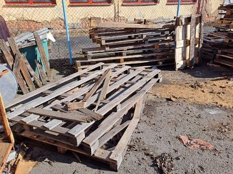 Dřevo - palety - 3
