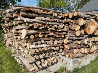 DŘEVO - PALIVOVÉ - 3