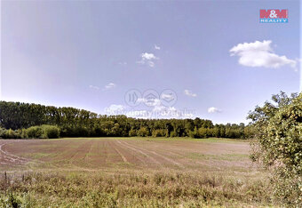 Prodej louky, 4960 m², Moravský Písek - 3