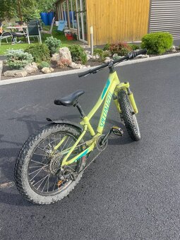 Kolo specialized - 3