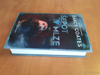 Šepot v mlze, Ticho ve tmě - 3