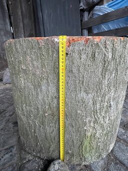 Prodám 3 ks pařezů - 3