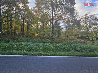 Prodej louky, 4228 m², Mikulovice - 3