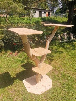 Kočičí strom - 3