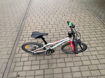 Author Record 20 - 3