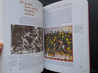 Dejiny bratislavskej kuchyne - 3