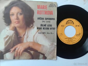Gramofonové desky - 3