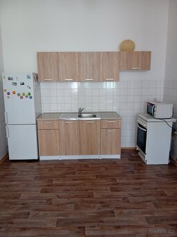 Pronájem bytu 3+kk v Plzni v ulici Americká - 3