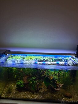 Prodam komplet akvarium - 3
