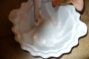bábovka, porcelánová forma na pečení - 3