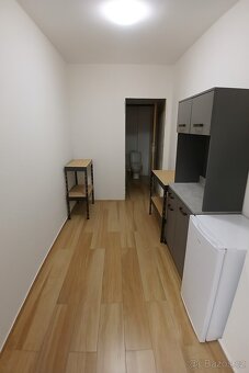 Pronájem skladového prostoru 245 m² Olomouc, Hálkova 37 - 3