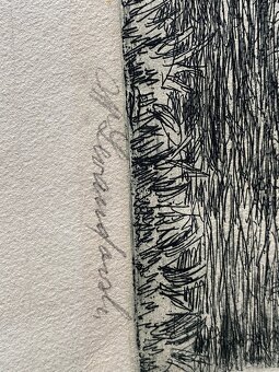 Starý tisk a stará kresba - 3