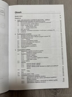 Podniková ekonomika - 3