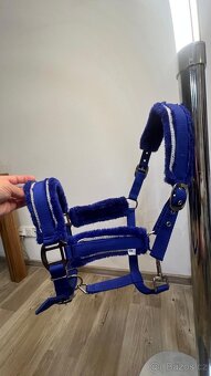 Krásná ohlávka COB - 3