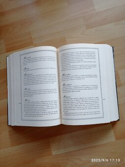 Velký snář a vánoční kuchařka - 3