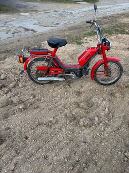 Babetta - 3
