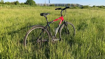 Rock Machine Crossride 350 - 3