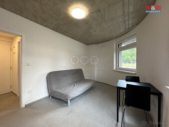 Pronájem bytu 1+kk, 23 m², Brno, ul. Alešova - 3