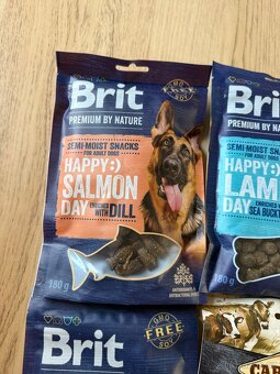 Granule a pamlsky Brit - 3