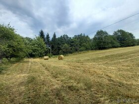 Prodej zemědělské usedlosti 305 m², pozemek 21 000 m² - 3