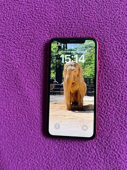iPhone XR - 3