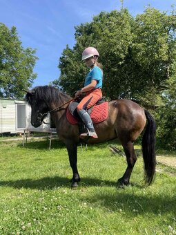 Pony kobylka - 3