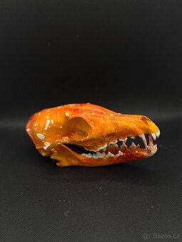 Lebka, dekorace, pohanství, - 3