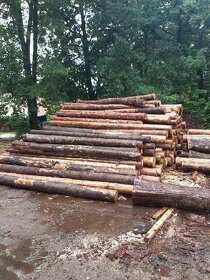 Akce štípané palivové dřevo s dopravou zdarma - 3