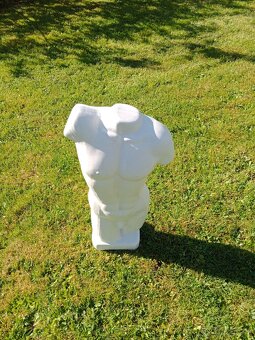 Torzo mužského těla 50 cm - 3