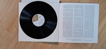 LP desky po babičce - 3