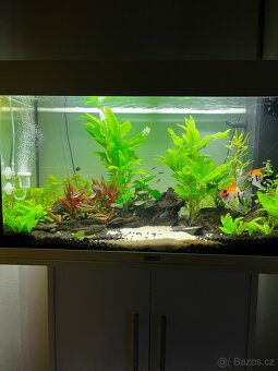 Akvárium Juwel rio 125 - 3