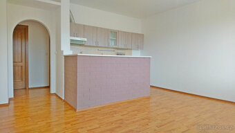 Prodej 2+kk, 55m2 (balk.+sklep) (Rochlice, ul.Pastelová) - 3