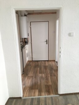 Pronajmu byt 2+1 v Aši - 3