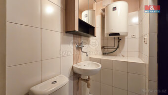 Pronájem bytu 1+kk, 21 m², Mšecké Žehrovice - 3