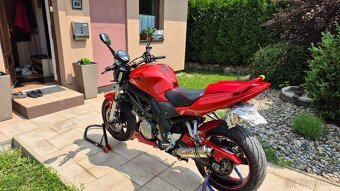 Suzuki SV 1000 - 3